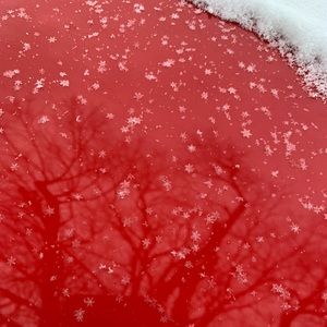 Meet your Posher, Tre